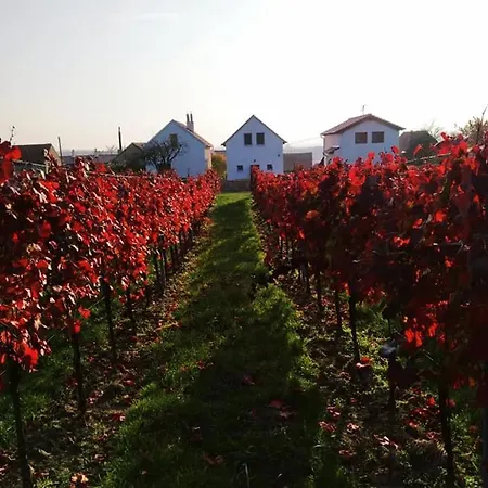 Vinoza - A Vinny Sklep Pod Vinici Velké Bílovice
