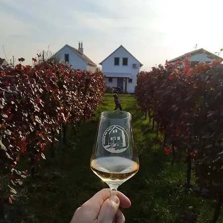 Vinoza - A Vinny Sklep Pod Vinici Prázdninový dům *