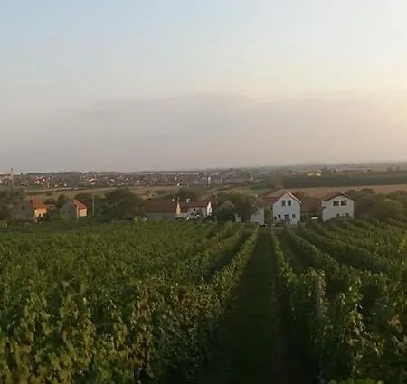 Prázdninový dům Vinoza - A Vinny Sklep Pod Vinici *