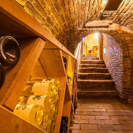 Vinoza - A Vinny Sklep Pod Vinici Prázdninový dům Velké Bílovice