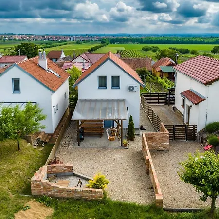 Prázdninový dům Vinoza - A Vinny Sklep Pod Vinici Velké Bílovice