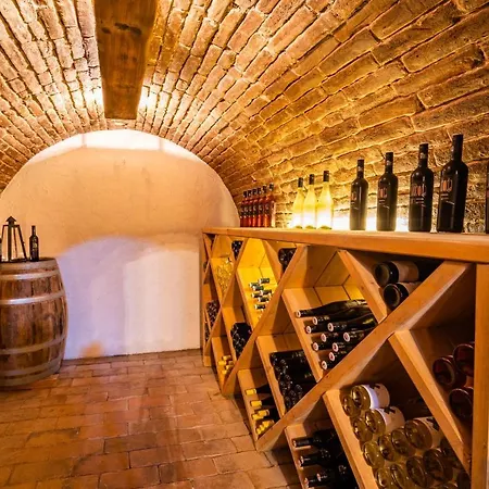Holiday home Vinoza - A Vinny Sklep Pod Vinici Velke Bilovice
