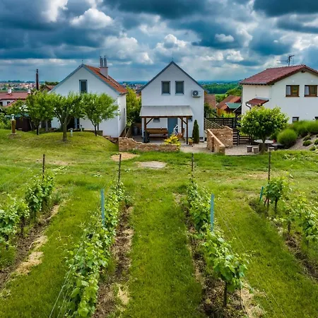 Vinoza - A Vinny Sklep Pod Vinici Holiday home