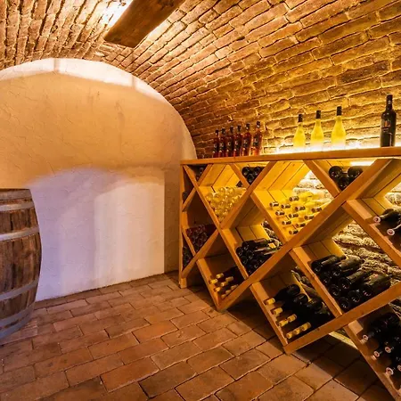 Holiday home Vinoza - A Vinny Sklep Pod Vinici Velke Bilovice
